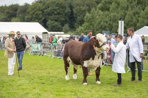 Royal Lancs Show 21072024 839