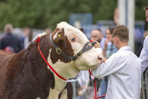 Royal Lancs Show 21072024 840