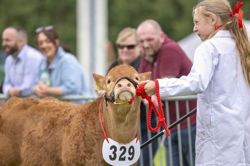 Royal Lancs Show 21072024 843