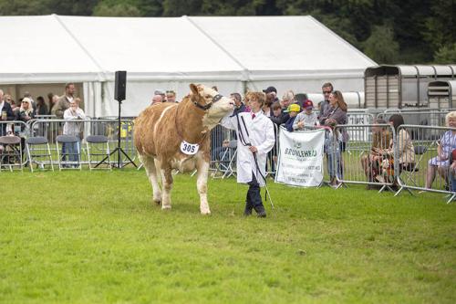 Royal Lancs Show 21072024 844