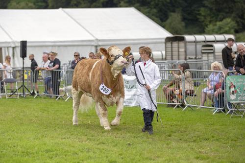 Royal Lancs Show 21072024 845
