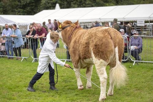 Royal Lancs Show 21072024 846