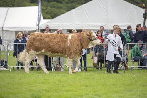 Royal Lancs Show 21072024 848