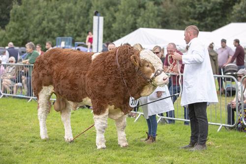 Royal Lancs Show 21072024 849