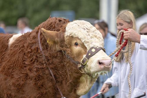 Royal Lancs Show 21072024 850