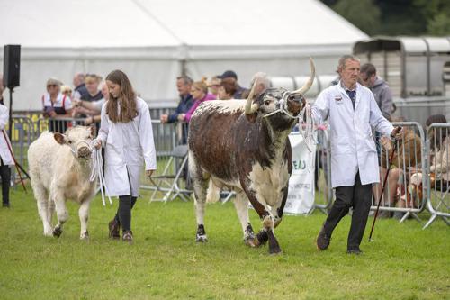 Royal Lancs Show 21072024 852