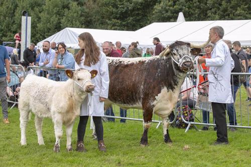 Royal Lancs Show 21072024 854