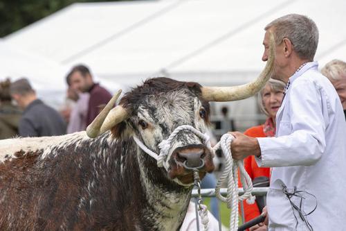 Royal Lancs Show 21072024 855
