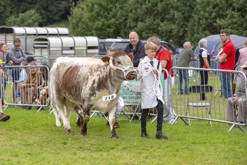 Royal Lancs Show 21072024 856
