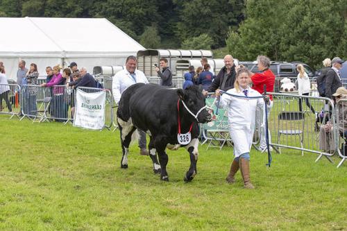 Royal Lancs Show 21072024 858