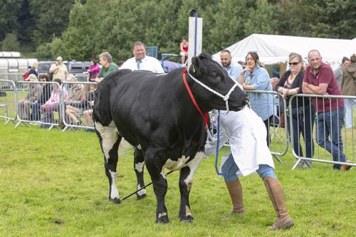 Royal Lancs Show 21072024 859