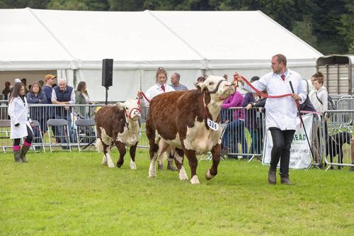 Royal Lancs Show 21072024 860