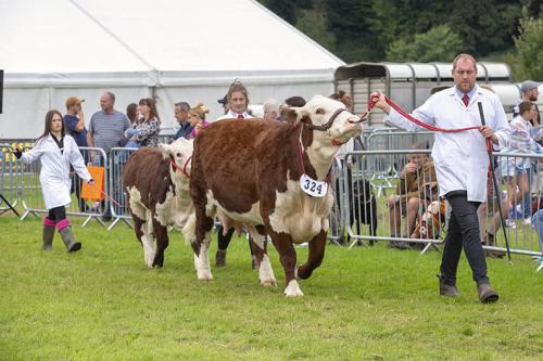 Royal Lancs Show 21072024 861