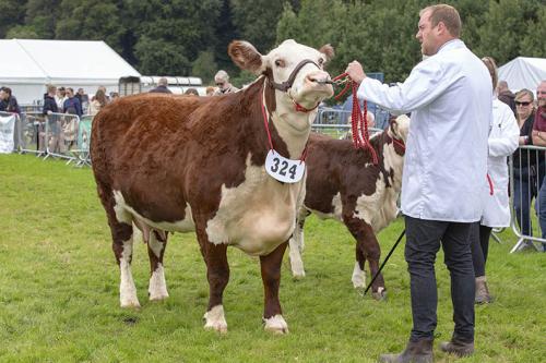 Royal Lancs Show 21072024 862