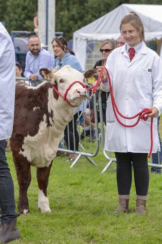Royal Lancs Show 21072024 864