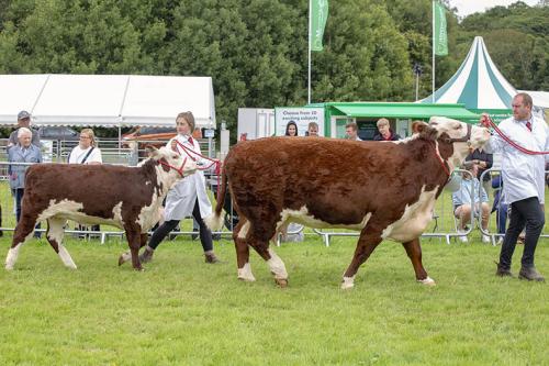 Royal Lancs Show 21072024 865
