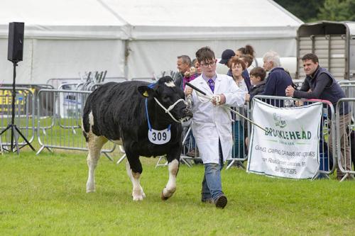 Royal Lancs Show 21072024 866