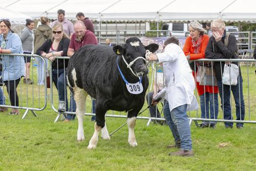Royal Lancs Show 21072024 867