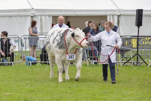 Royal Lancs Show 21072024 868