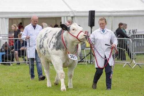 Royal Lancs Show 21072024 869