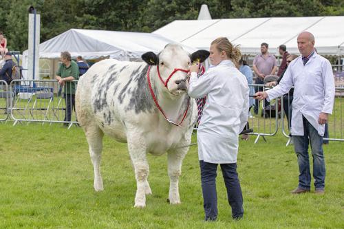 Royal Lancs Show 21072024 870