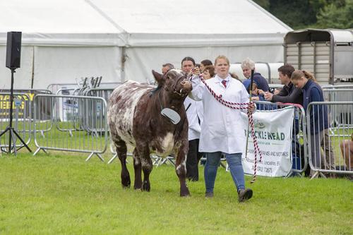Royal Lancs Show 21072024 871