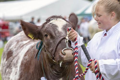 Royal Lancs Show 21072024 873