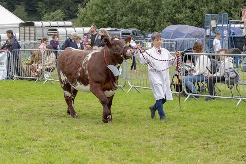 Royal Lancs Show 21072024 874