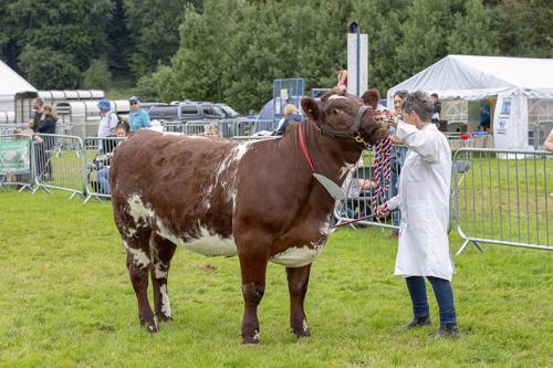 Royal Lancs Show 21072024 875