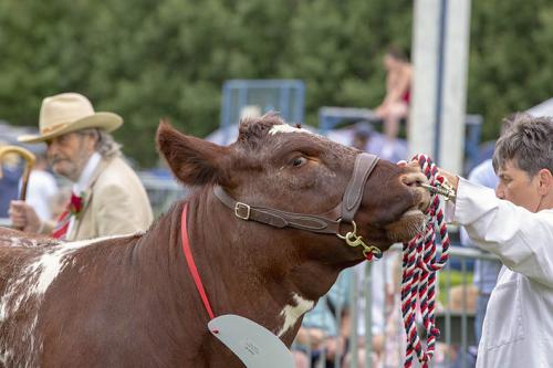 Royal Lancs Show 21072024 876