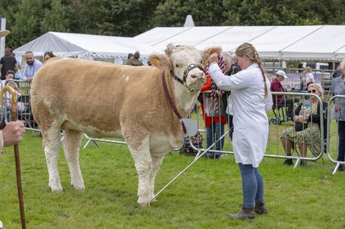 Royal Lancs Show 21072024 878