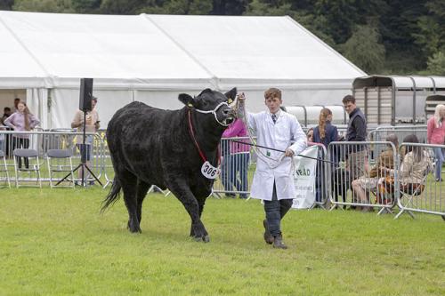Royal Lancs Show 21072024 880