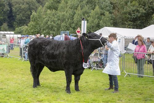 Royal Lancs Show 21072024 881