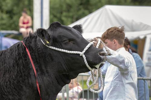 Royal Lancs Show 21072024 882