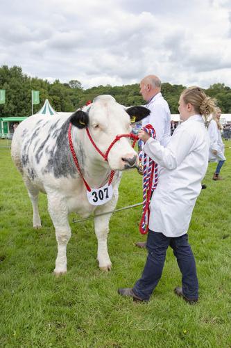Royal Lancs Show 21072024 886