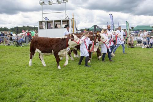 Royal Lancs Show 21072024 899