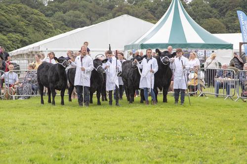 Royal Lancs Show 21072024 900