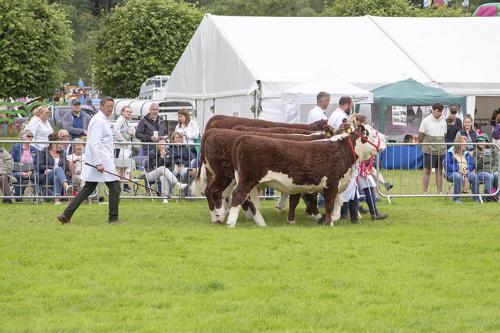 Royal Lancs Show 21072024 901
