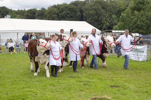 Royal Lancs Show 21072024 902