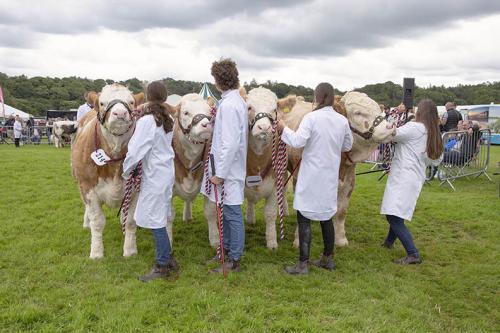 Royal Lancs Show 21072024 906