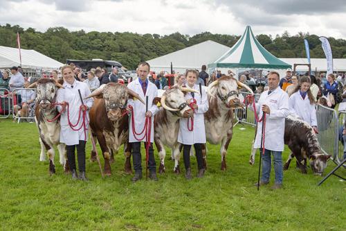 Royal Lancs Show 21072024 908