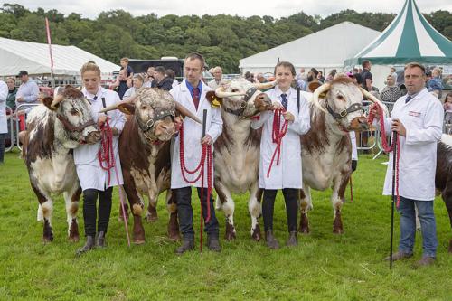 Royal Lancs Show 21072024 910