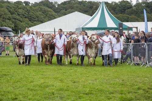 Royal Lancs Show 21072024 911