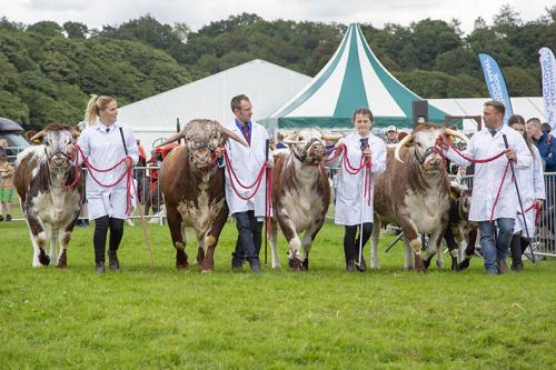 Royal Lancs Show 21072024 912