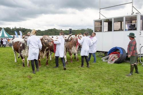 Royal Lancs Show 21072024 913