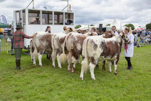 Royal Lancs Show 21072024 914