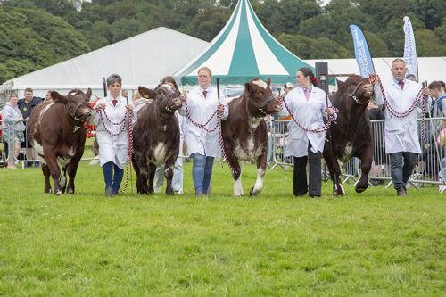Royal Lancs Show 21072024 917