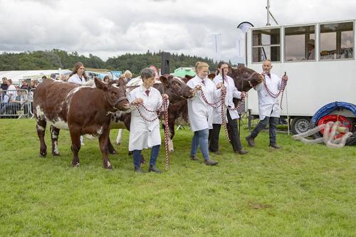 Royal Lancs Show 21072024 919