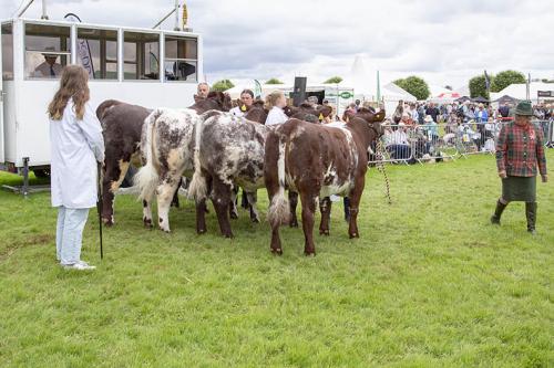 Royal Lancs Show 21072024 920