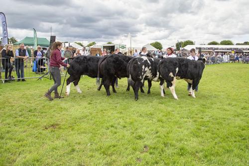 Royal Lancs Show 21072024 922